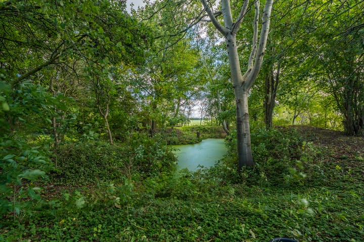 Foto 58 van Spitsbergen 3