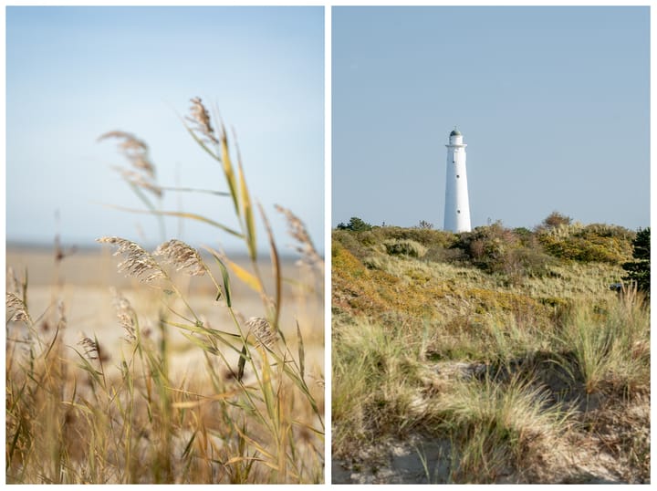 Foto 48 van Badweg 41