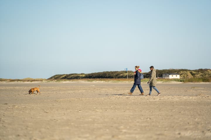 Foto 60 van Badweg 41