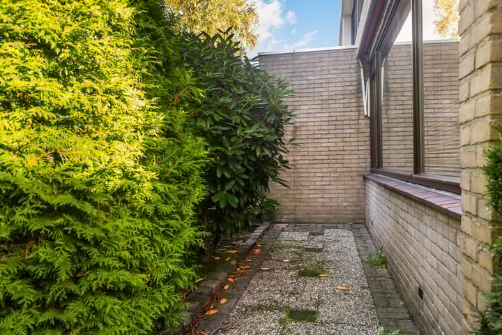 Foto 18 van Jan Jelles Hofleane 49