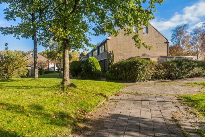 Foto 32 van Jan Jelles Hofleane 49