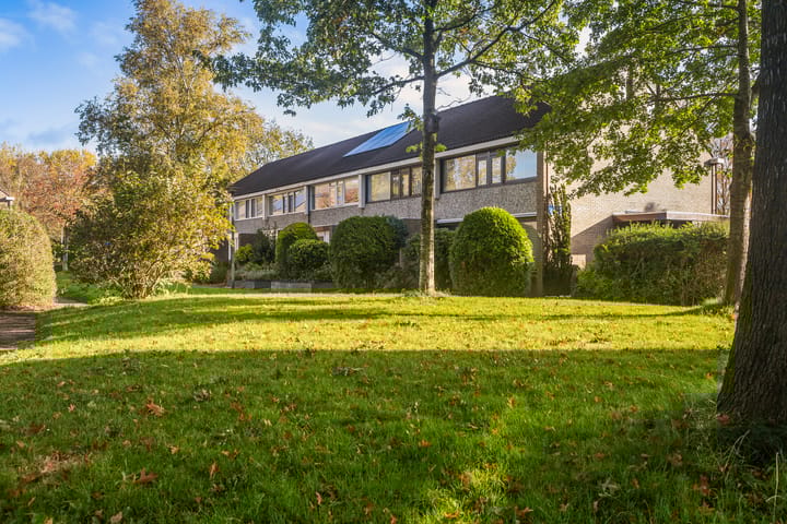 Foto 33 van Jan Jelles Hofleane 49