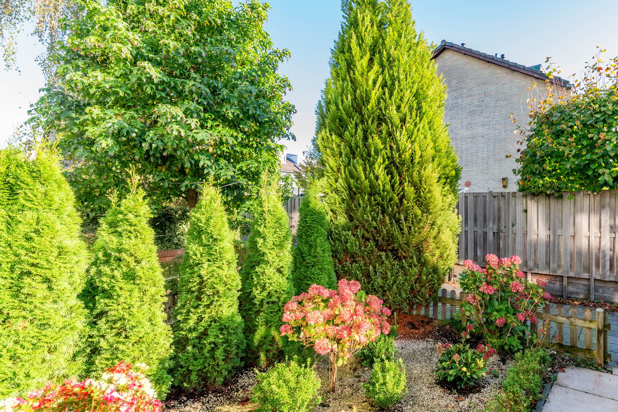 Foto 42 van Mr.J.C.Bührmannlaan 50