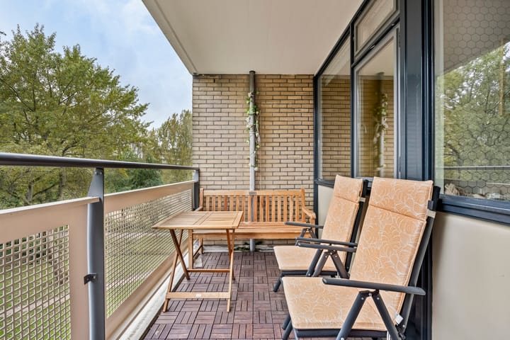 Foto 21 van Jan Luykenlaan 252