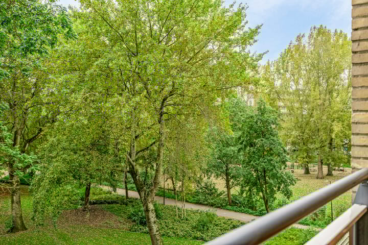 Foto 22 van Jan Luykenlaan 252