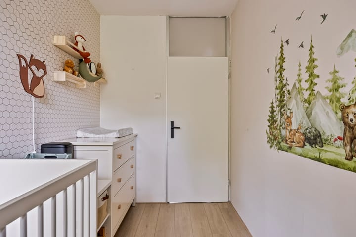 Foto 37 van Jan Luykenlaan 252