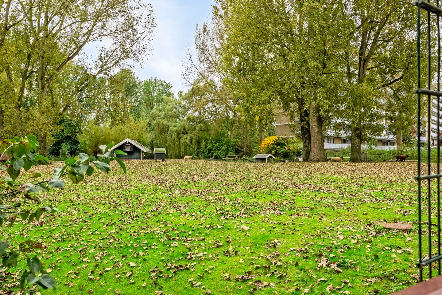 Foto 44 van Jan Luykenlaan 252