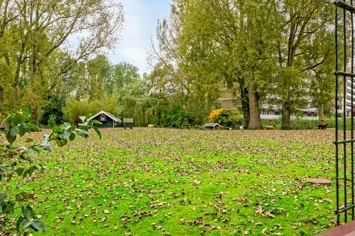 Foto 44 van Jan Luykenlaan 252