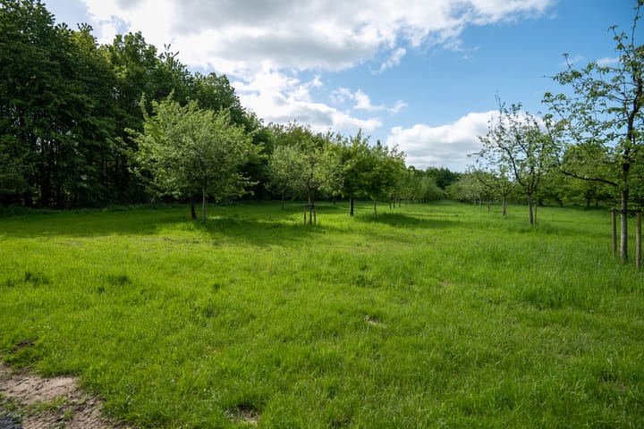 Photo 5 of Bouwnummer (Bouwnr. 5)