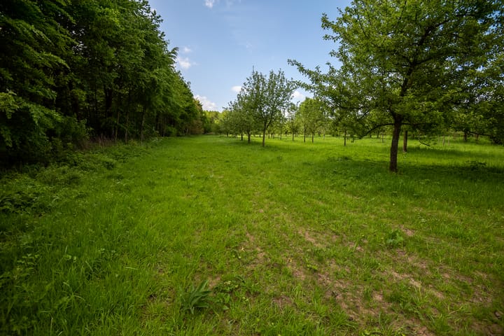 Photo 6 of Bouwnummer (Bouwnr. 5)