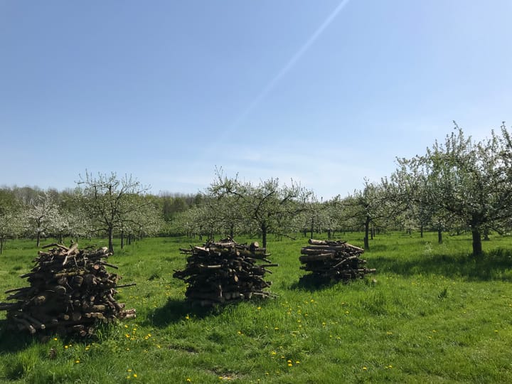 Photo 8 of Bouwnummer (Bouwnr. 5)