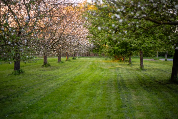 Photo 11 of Bouwnummer (Bouwnr. 5)