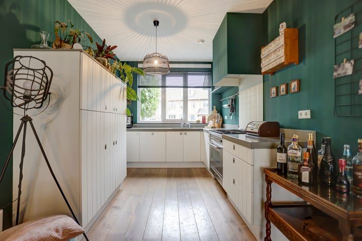 Foto 9 van Meerval 6