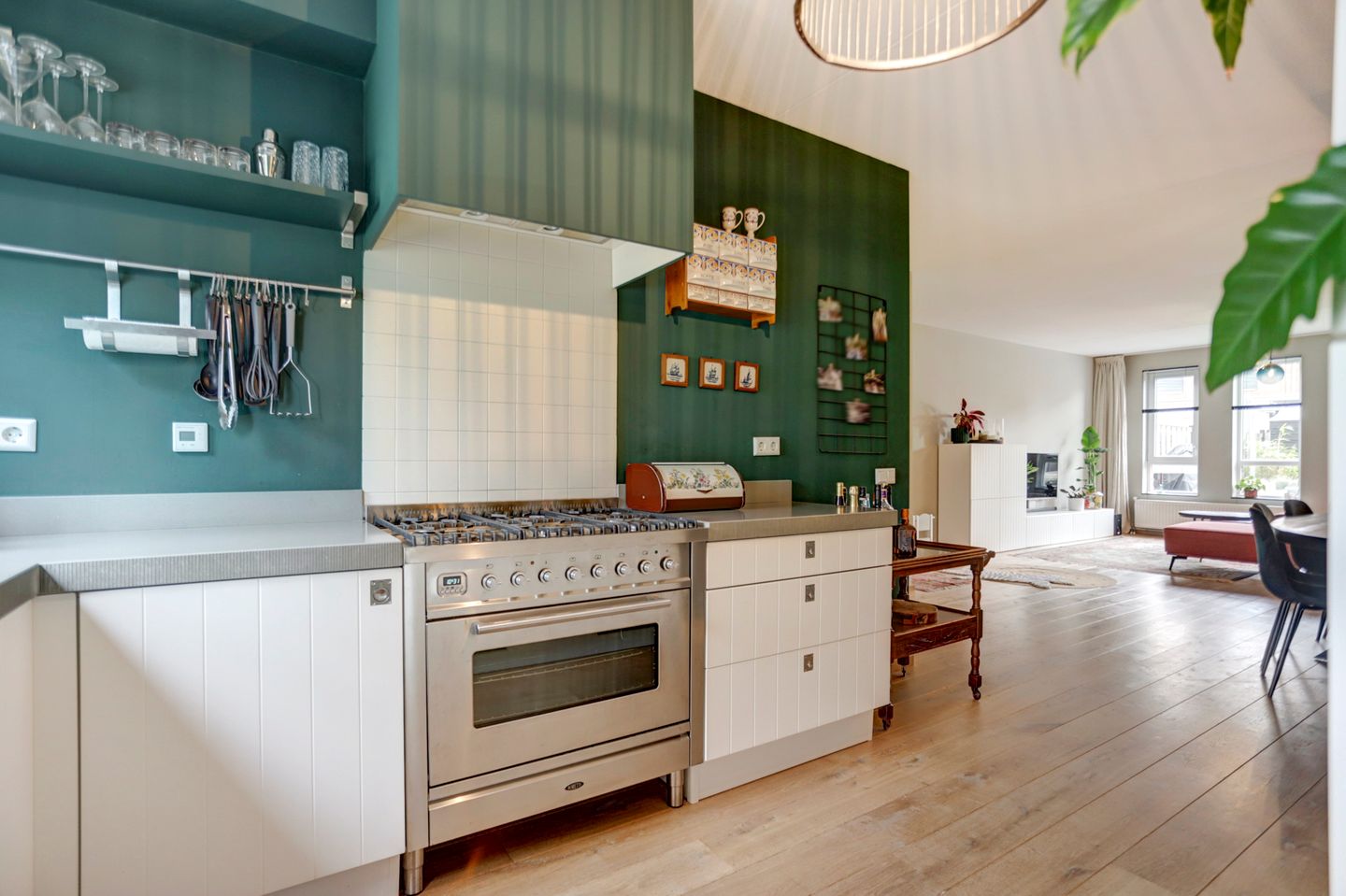 Foto 10 van Meerval 6