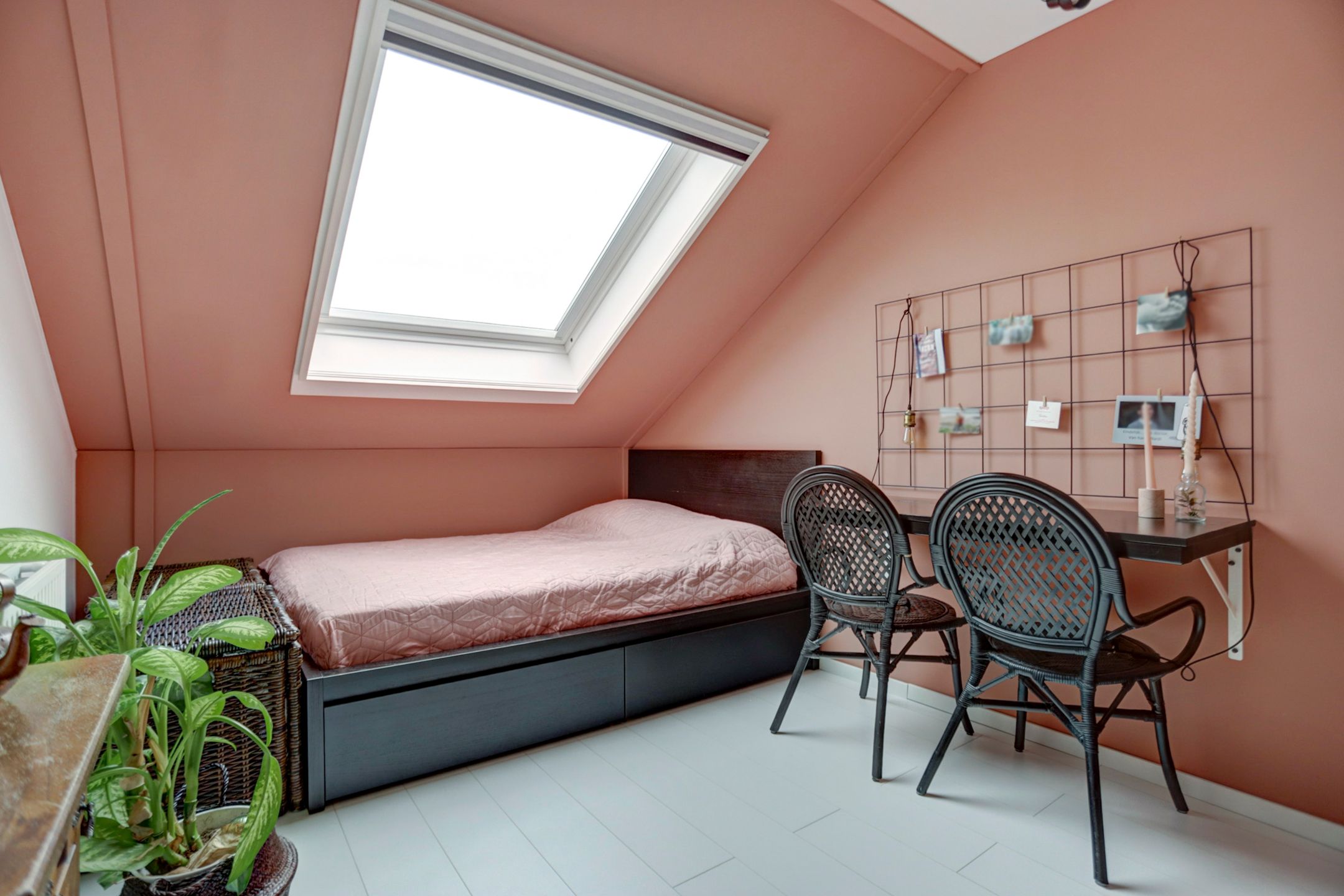 Foto 24 van Meerval 6