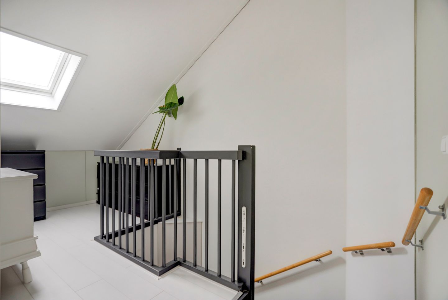 Foto 29 van Meerval 6