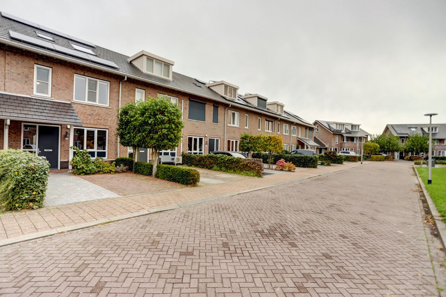 Foto 35 van Meerval 6