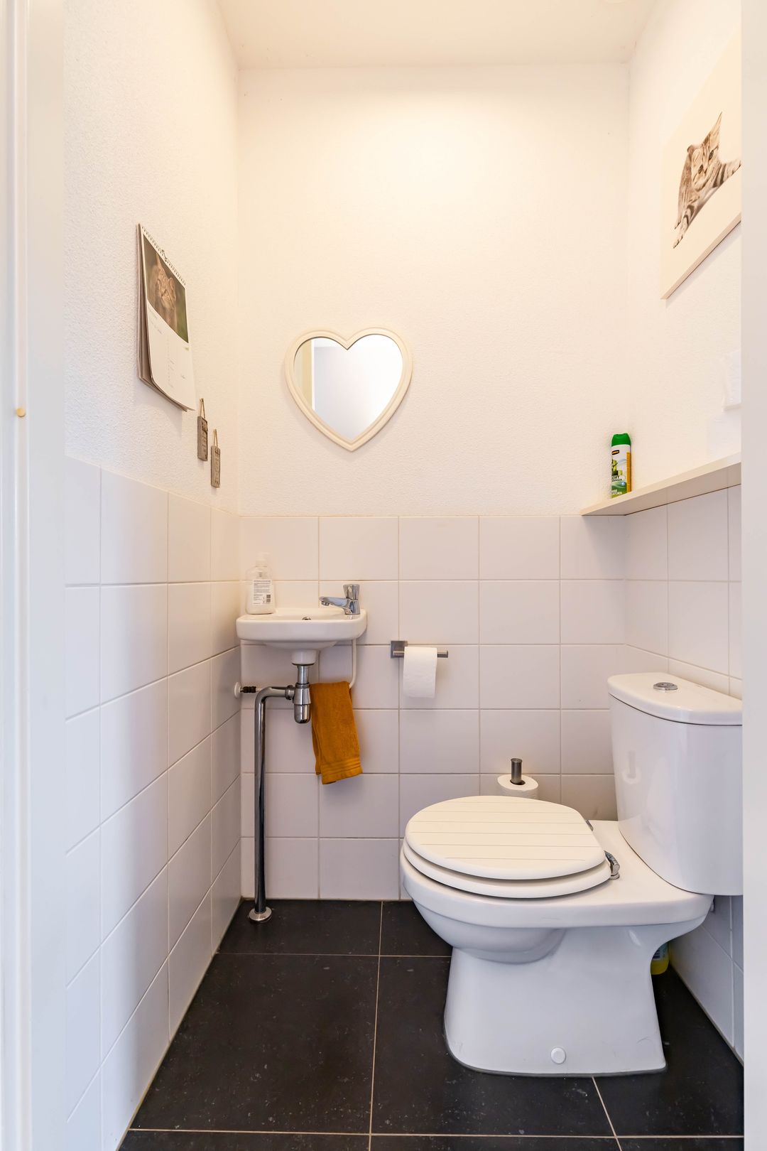 Foto 7 van Reitdiephaven 419