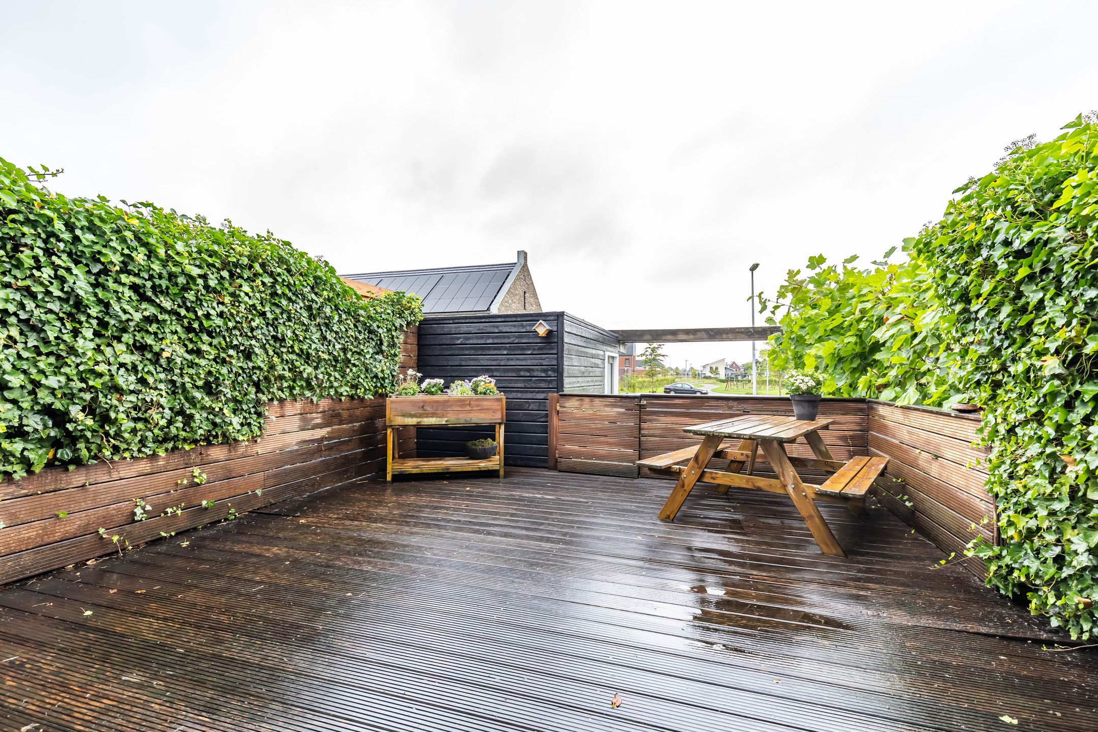 Foto 12 van Reitdiephaven 419