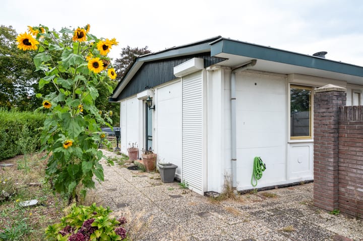 Photo 6 of Slotemaker de Bruïneweg 147