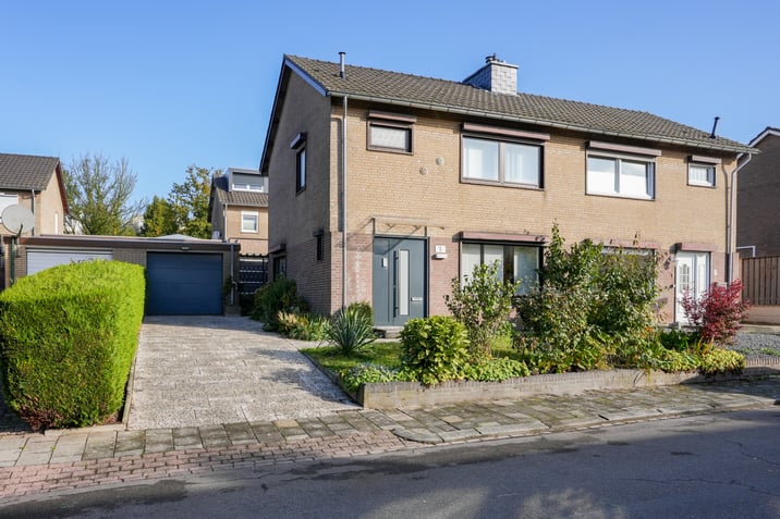 undefined main image