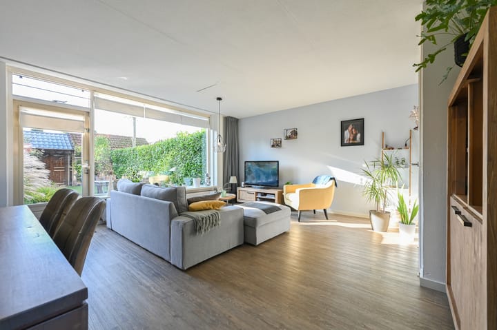 Foto 3 van Heggeroos 27