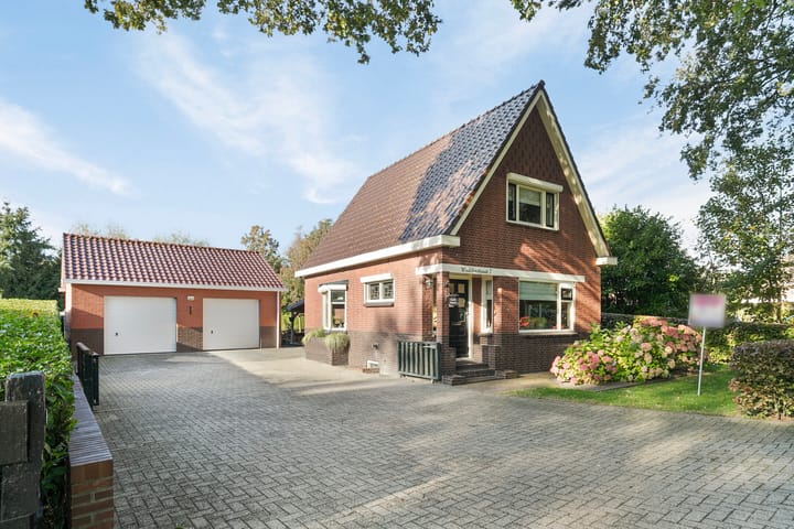 undefined main image