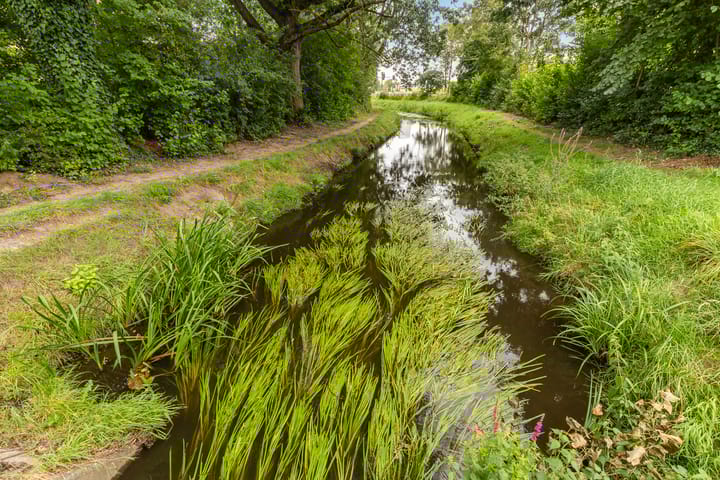 Foto 20 van Arubastraat 12