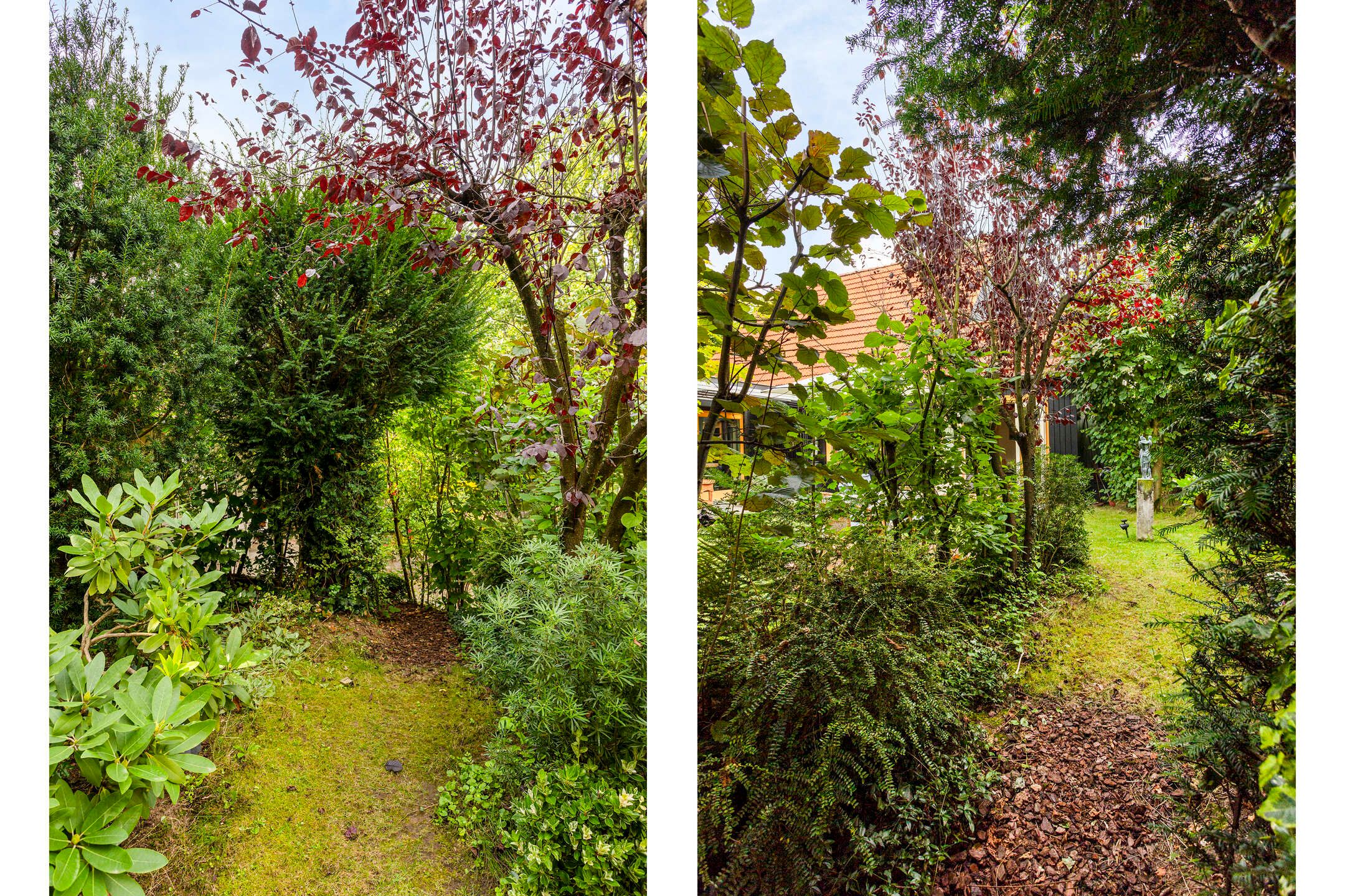 Photo 45 of Pater Bleyslaan 2