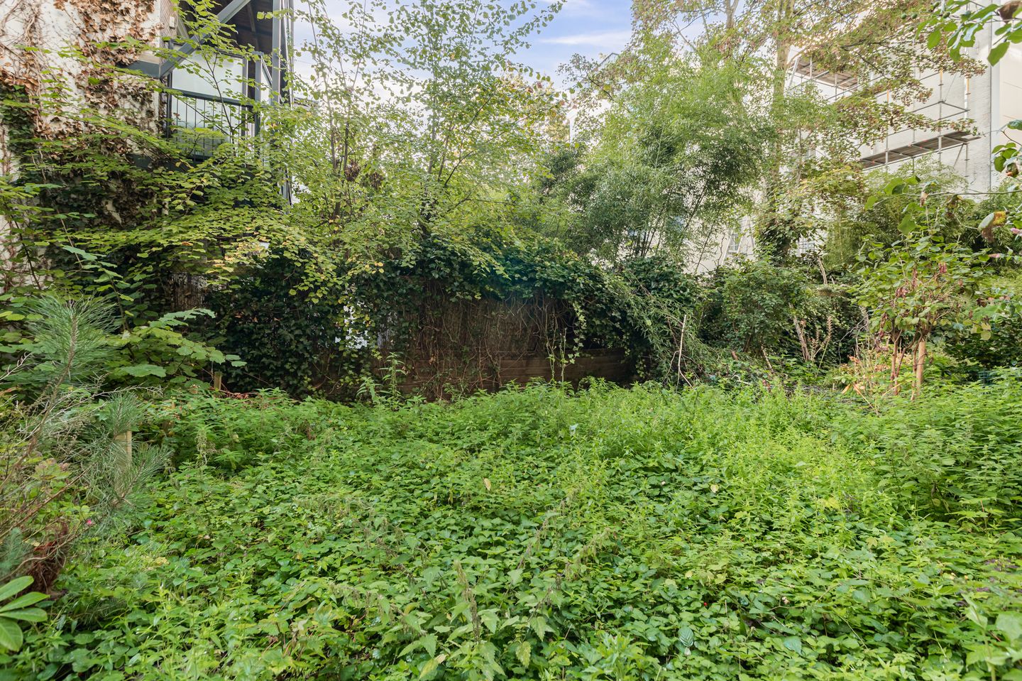 Foto 10 van Mauritsstraat 22