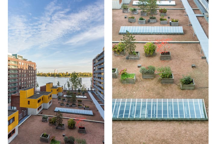 Foto 26 van Cor Kieboomplein 196