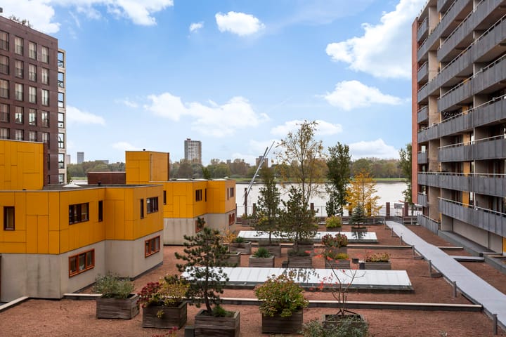 Foto 25 van Cor Kieboomplein 196