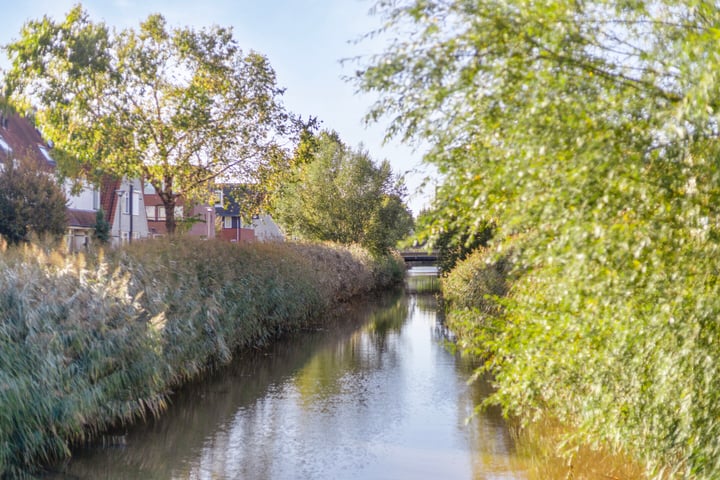 Bekijk foto 32 van Spitsbergenweg 43