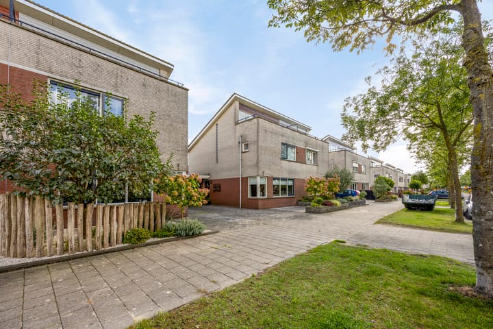 Foto 1 van Zilverplevier 3