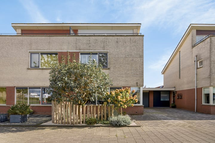 Foto 2 van Zilverplevier 3