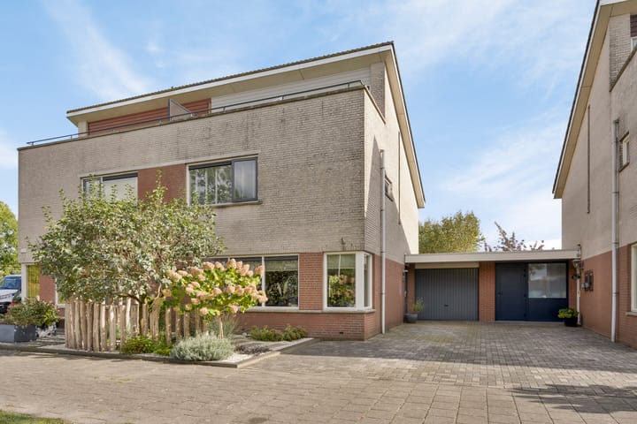 Foto 3 van Zilverplevier 3