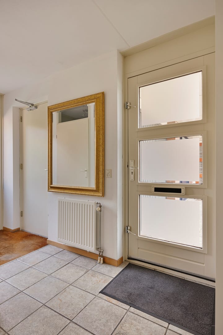 Foto 4 van Zilverplevier 3