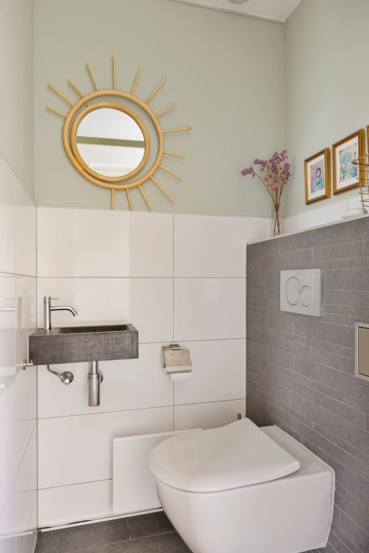 Foto 5 van Zilverplevier 3