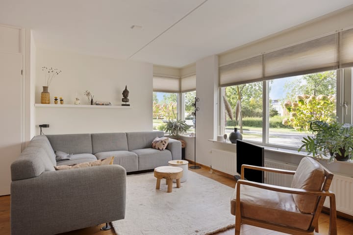 Foto 6 van Zilverplevier 3