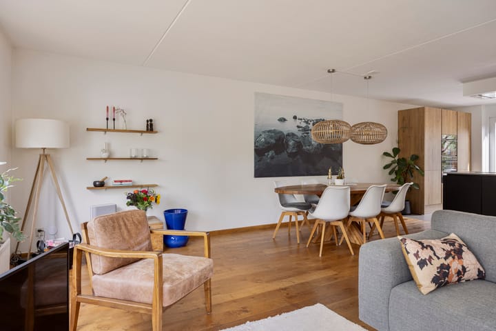 Foto 7 van Zilverplevier 3