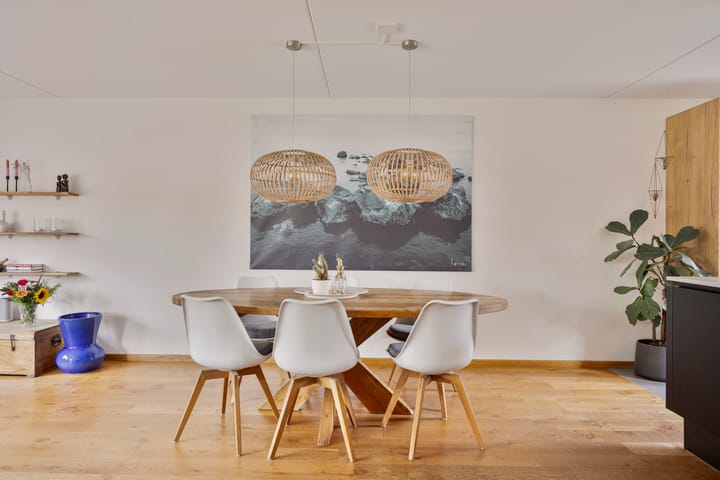 Foto 8 van Zilverplevier 3