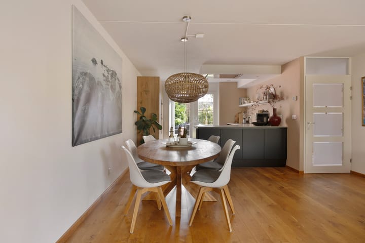 Foto 9 van Zilverplevier 3