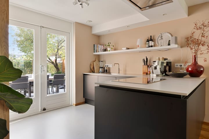 Foto 10 van Zilverplevier 3