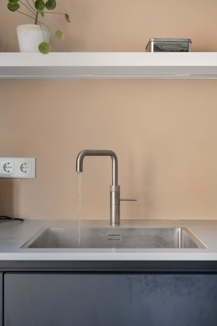 Foto 12 van Zilverplevier 3