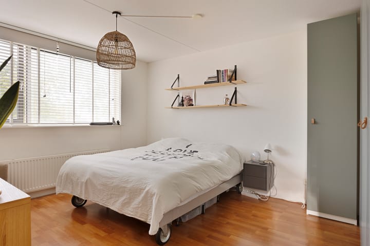 Foto 17 van Zilverplevier 3