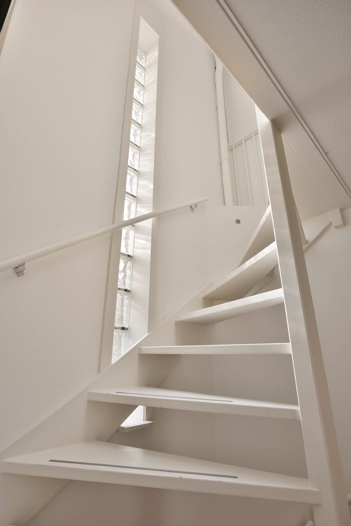 Foto 16 van Zilverplevier 3