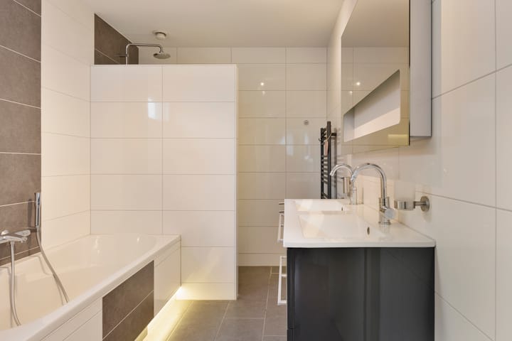 Foto 19 van Zilverplevier 3