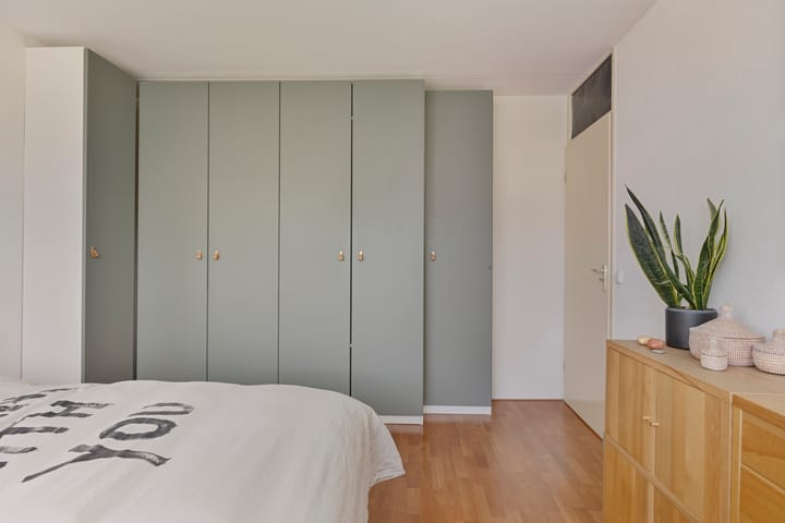 Foto 18 van Zilverplevier 3