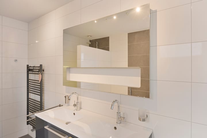 Foto 21 van Zilverplevier 3