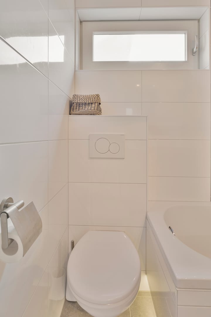 Foto 24 van Zilverplevier 3